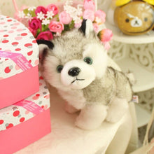 Load image into Gallery viewer, 18 CM Simulation Husky Dog Plush Toy Gift For Kids Stuffed Plush Toy